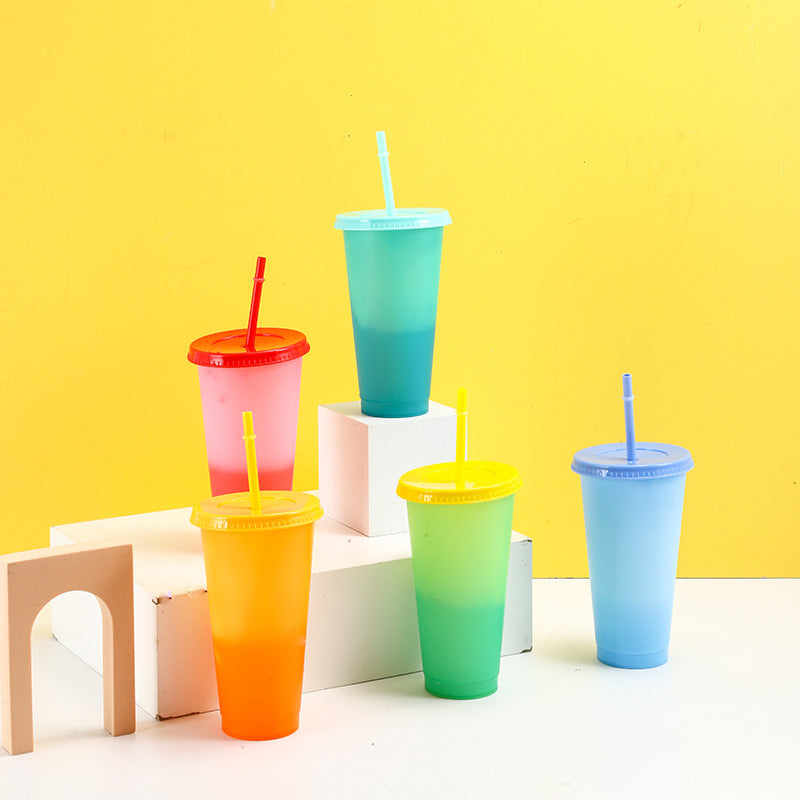 700ml Factory direct sales temperature sensitive cold color changing cup large capacity pp plastic straw cup fashionable water cup wholesale can add logo